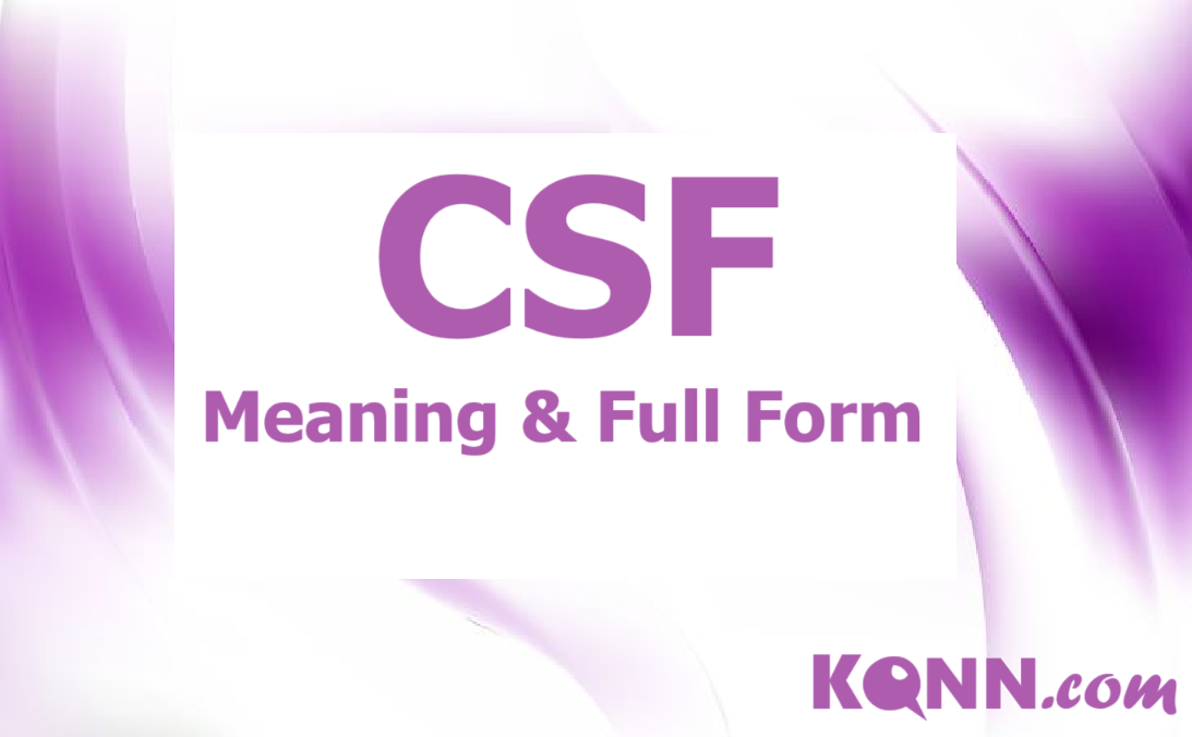 CSF Meaning & Full Form Explained