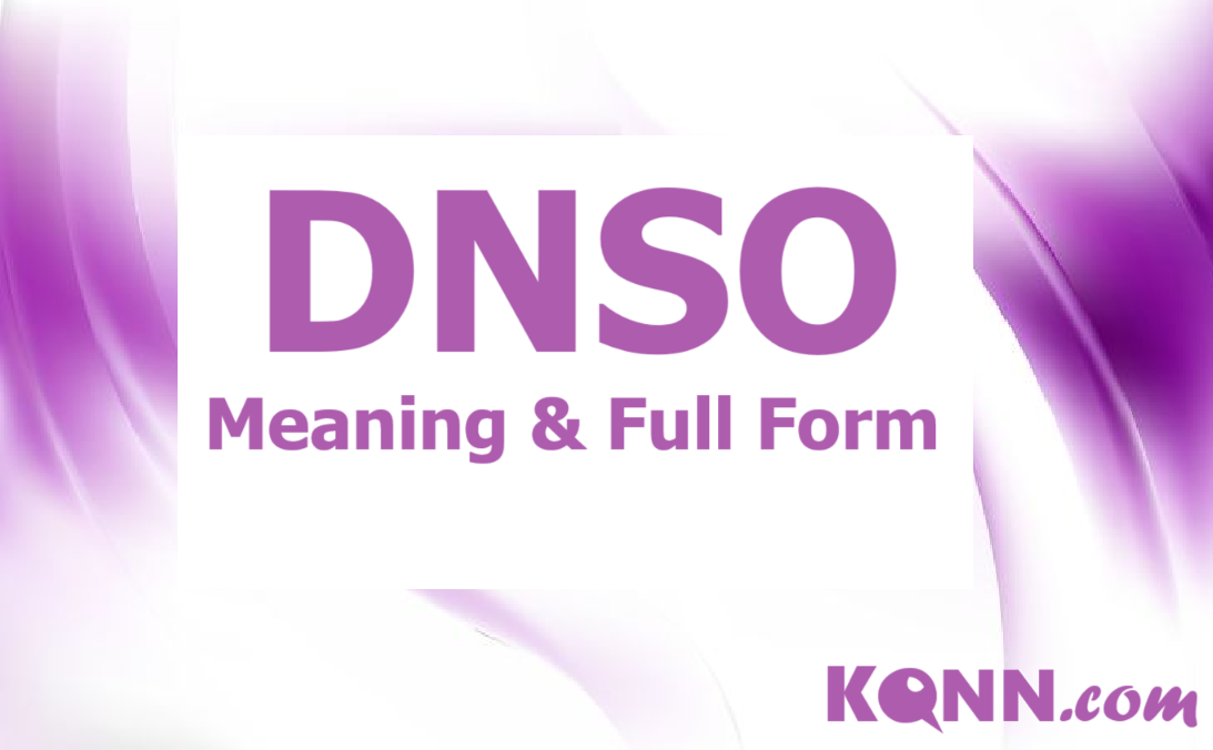 DNSO Meaning & Full Form Explained